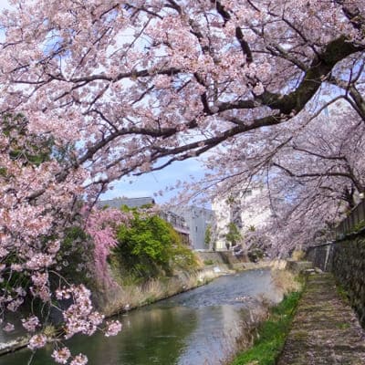 災害対策工事02｜新築・注文住宅・リフォーム｜三和建設株式会社｜伊豆・伊東市