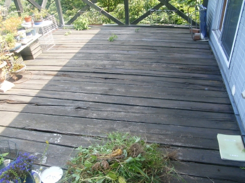 ウッドデッキ改修｜リフォームの施工事例｜新築・注文住宅・リフォーム｜三和建設株式会社｜伊豆・伊東市リフォーム前0